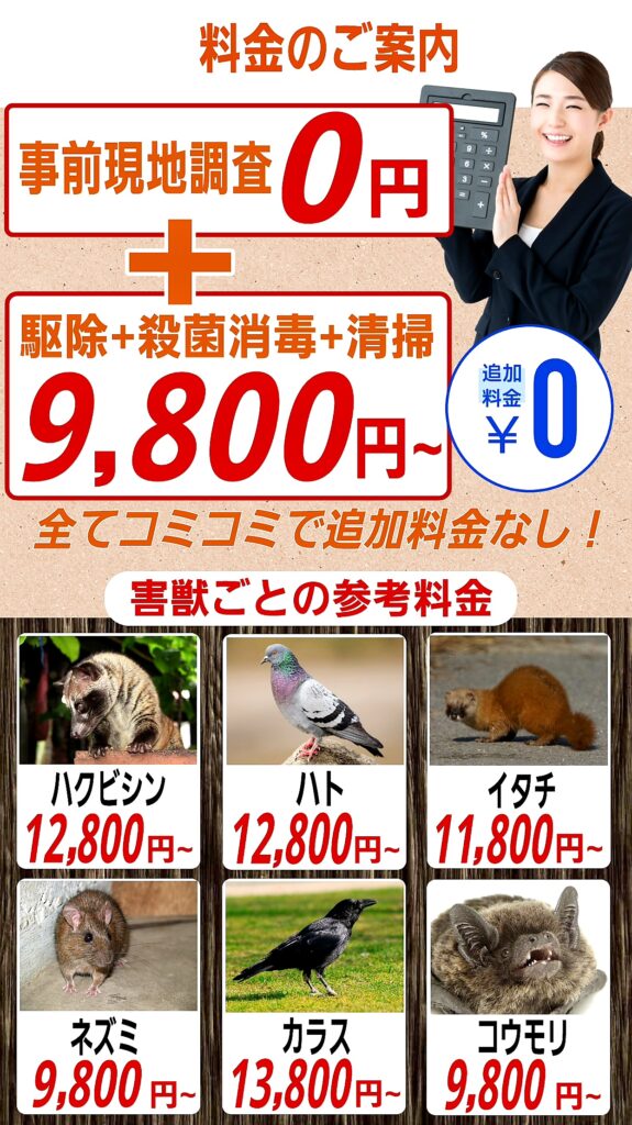 害獣や害鳥駆除の料金プラン